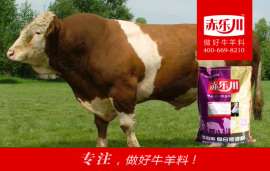 河南育肥牛营养预混料