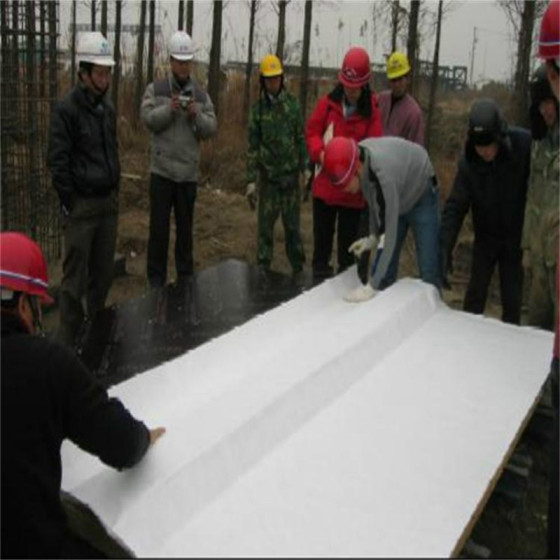 桥梁 隧道 透水专业建筑模板布HM-063