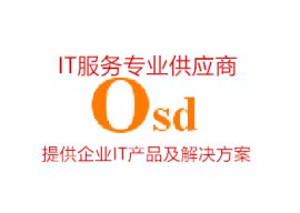 专业IT服务外包