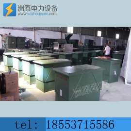 厂家直销10KV DFW高压户外电缆分接箱-山东洲原
