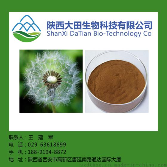 西安现货蒲公英提取物10: 1 现货 包邮